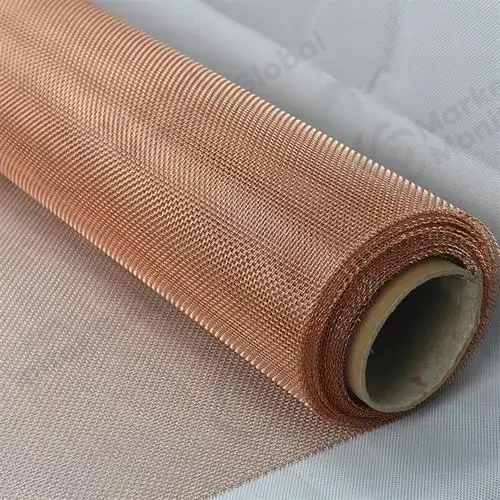 What Is the Projected Market Size for Copper Metal Mesh Film in 2025?