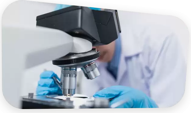 Popularize Professional 3D Scanning Equipment Market, Global Outlook and Forecast 2025-2031